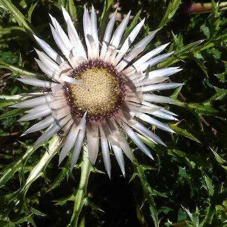 Les Du Cairn Oda ve Kahvaltı 3*