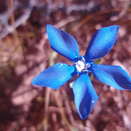 Les Du Cairn 3* Vernamiège
