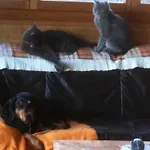 Les Du Cairn Bed & Breakfast Vernamiège